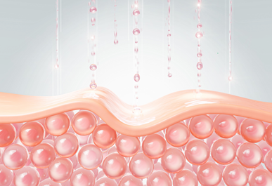 Collagen Peptides